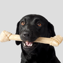 black dog with bone treat