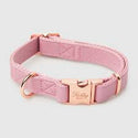 Collar & Leash