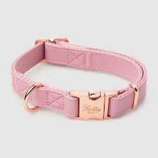 Collection image for: Collar & Leash