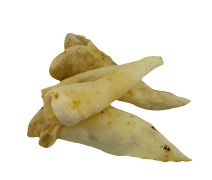 Lamb Ears